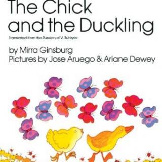 【Julia美语】英语版-小鸡和小鸭 The Chick and the Duckling