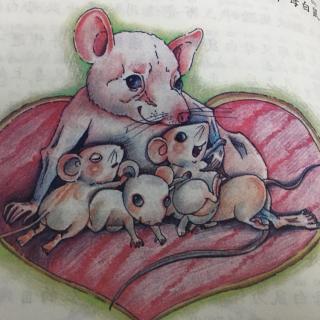 绘本——《白鼠妈妈的爱》