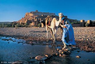 风景如画的北非花园 摩洛哥🇲🇦