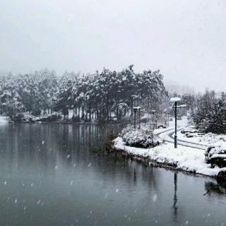 雪 作者：鲁迅 诵读：蓝色月光＿天一