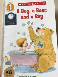 A bug A bear and A boy