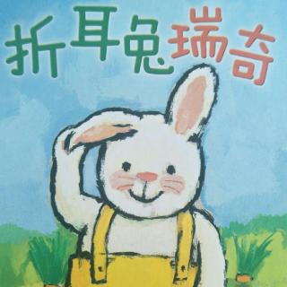 折耳兔瑞奇成长系列之《折耳兔瑞奇》