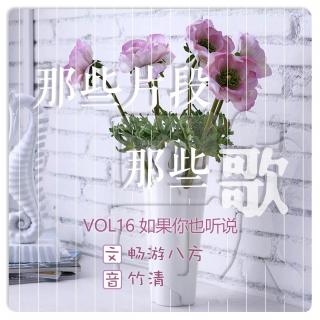 VOL.16【那些片段那些歌】如果你也听说-3