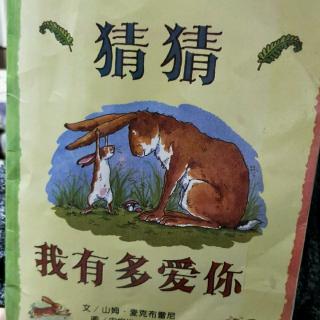 猜猜我有多爱你