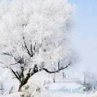 西江月.宝髻松松挽就 作者:司马光 朗诵懿靖