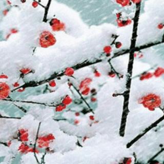 香芝《雪花》诵读:瑛子