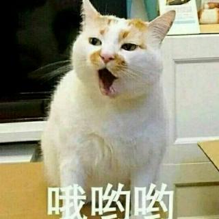 啊哈哈哈哈哈