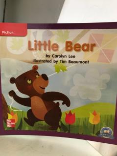 分级读物～Little Bear