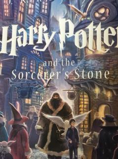 Harry Potter and the Sorcerer's Stone2