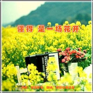 《懂得 是一场花开》作者：桃园野菊 朗诵：莹丽亿番洛瓦