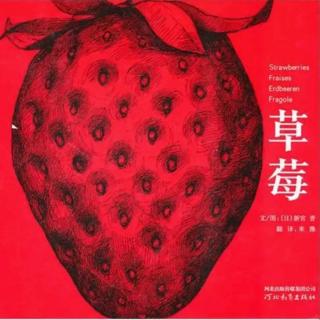 草莓（转老虎工作室）