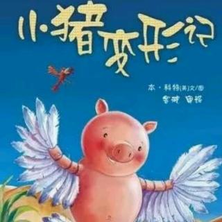 绘本故事-《小猪变形记》