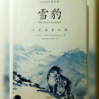 《雪豹》之北行：10月11日- 错过