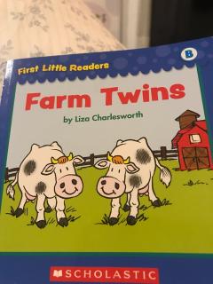 farm twins