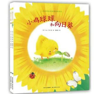 故事：《小鸡球球和向日葵》