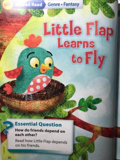 Little Flap Learns To Fly