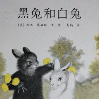 黑兔和白兔