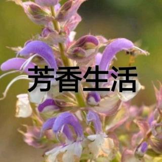 20161021花朵类型的人格是女人的专利吗?