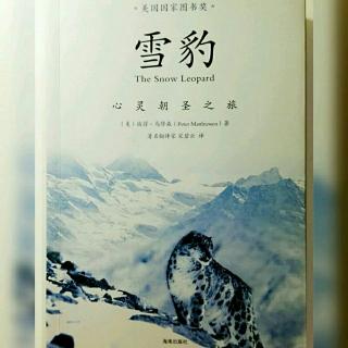 《雪豹》之北行：10月12日- 麝香鹿白牙项链