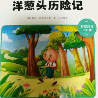 洋葱头历险记第一章