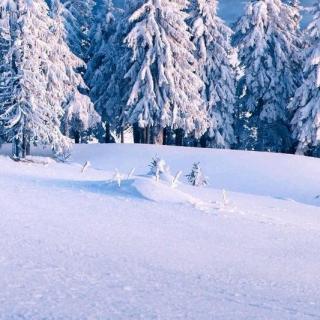 孙明亮《撷一朵雪花放在墓前》