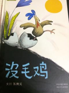 世纪星兔兔🐰广播站-没毛鸡🐔