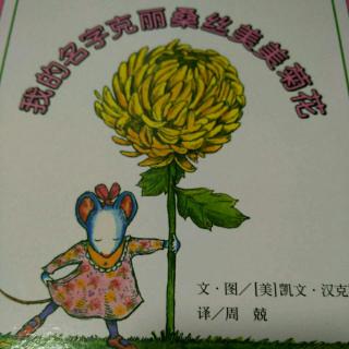 我的名字克丽桑丝美美菊花