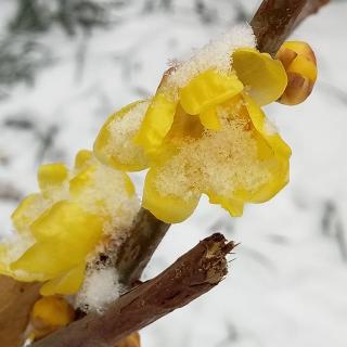 觉醒之旅--一月八日 滋养心灵