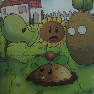 20180108土豆地雷小不点儿