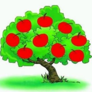 八十八个红苹果-苗苗幼儿园小星星老师讲故事啦！