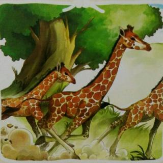 《小动物成长日记》――长颈鹿参加运动会