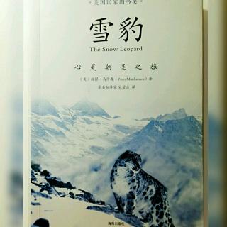 《雪豹》之北行：10月15日- 蓝羊（1）打盹儿