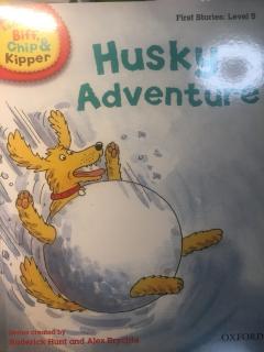 Husky adventure