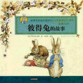 彼得兔的故事4 弗洛普茜家的兔子