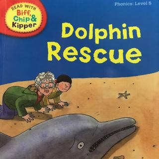 易贝乐百日阅读计划第77天:dolphin rescue
