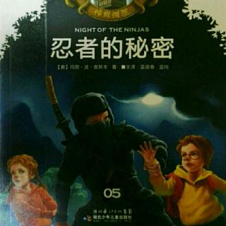 神奇树屋《忍者的秘密》险滩