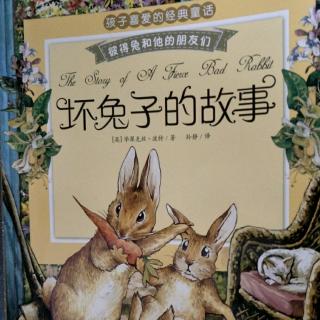 坏兔子🐰的故事