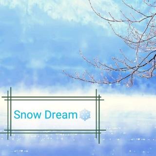 轻音乐🎵雪之梦Snow Dream