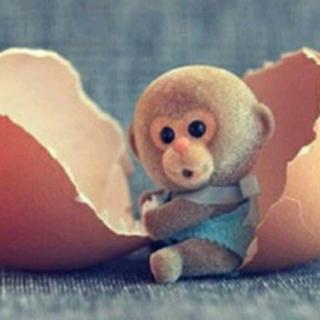 小猴偷鸡蛋的故事