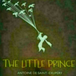 《THE LITTLE PRINCE 小王子》24