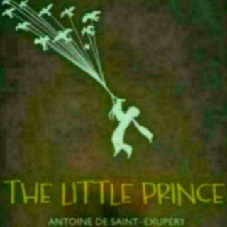 《THE LITTLE PRINCE 小王子》27（大结局）