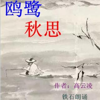 《鸥鹭秋思》作者：高云凌 ；铁石朗诵