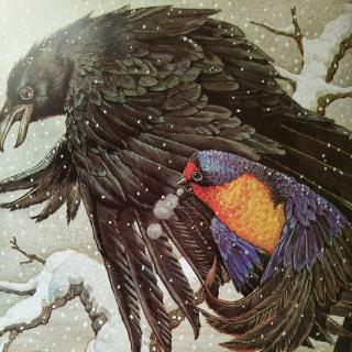 燕子和乌鸦