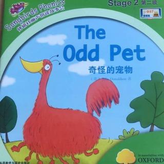 The Odd Pet