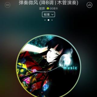 轻音乐🎶弹奏微风（降B调，木管演奏）