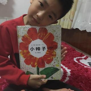 杜懿洪小朋友绘本故事分享9《小种子》