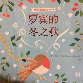 罗宾的冬之歌🐦