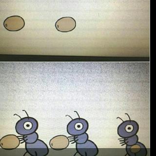 小蚂蚁背粮食图片图片