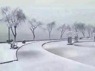 下雪❄️的早晨