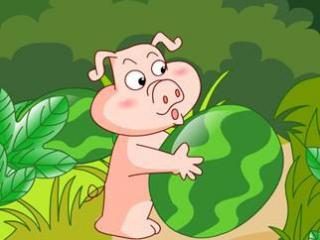 《The pig and Watermelon小猪搬西瓜》